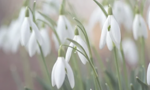 Bez názvu (1080 × 500 px) (500 × 300 px) (1)